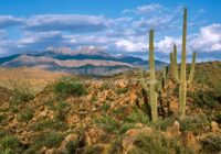 Four Peaks | Arizona | Fine Art Photography | Landscape
