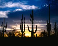 Sunset | Arizona | Fine Art Photography | Landscape