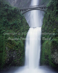 Multnomah Falls | Oregon | Fine Art Photography | Landscape