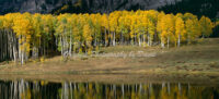 Fall Aspen | Rowdy Lake | Colorado | Fine Art Photography | Landscape